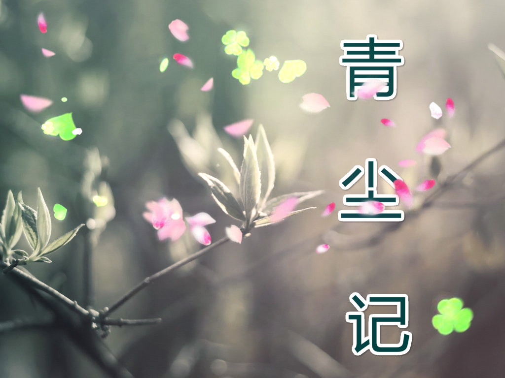 青尘记