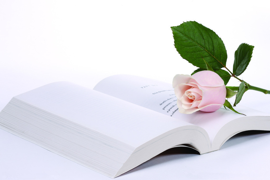 戏谈诗词 戏谈诗词