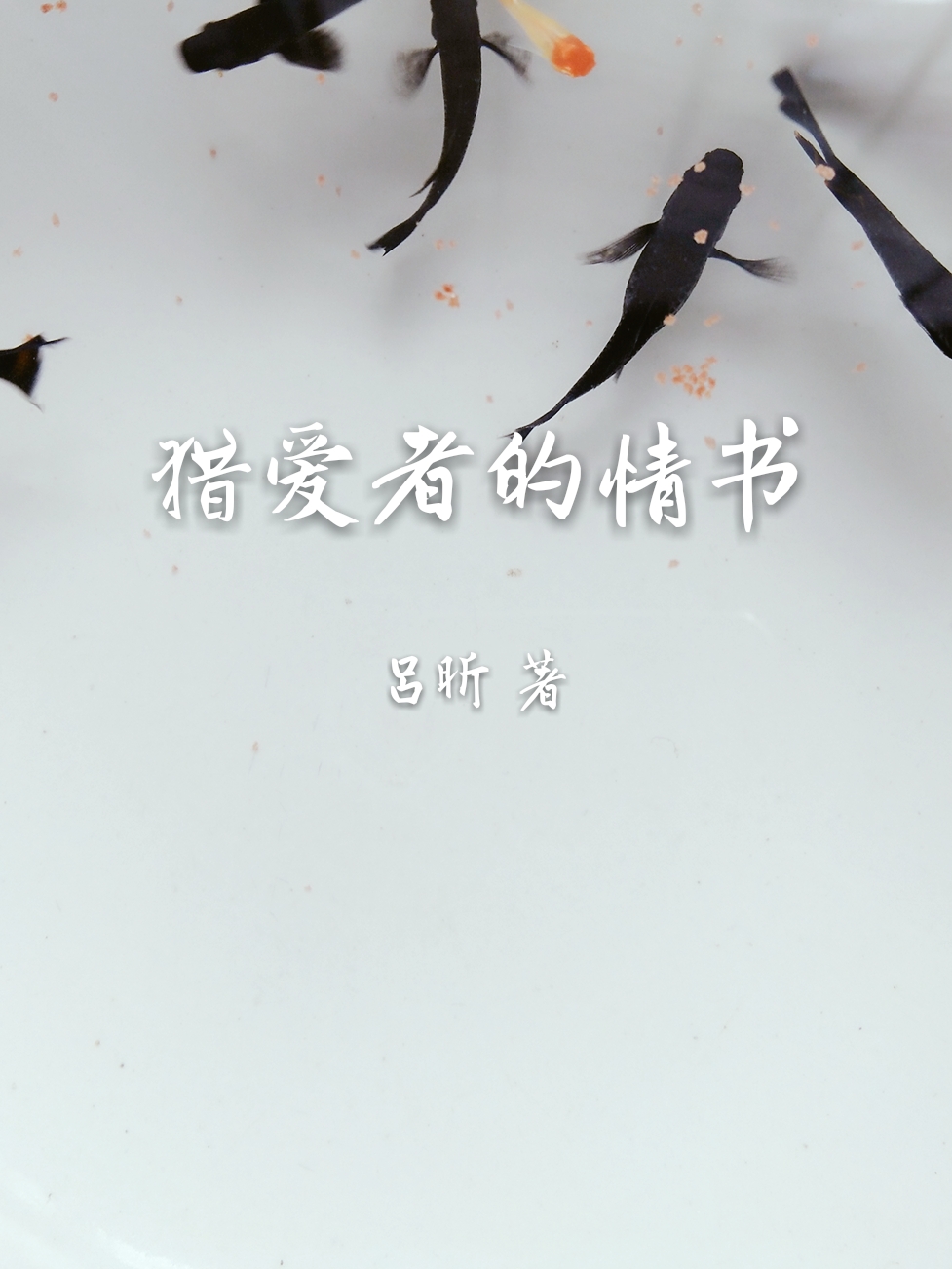 猎爱者的情书