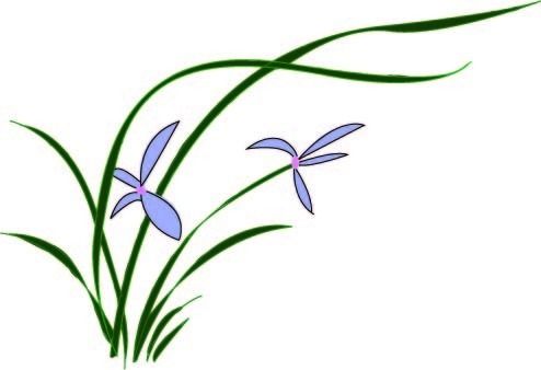 几度花开