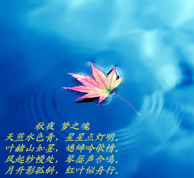 梦之魂小说剧本集