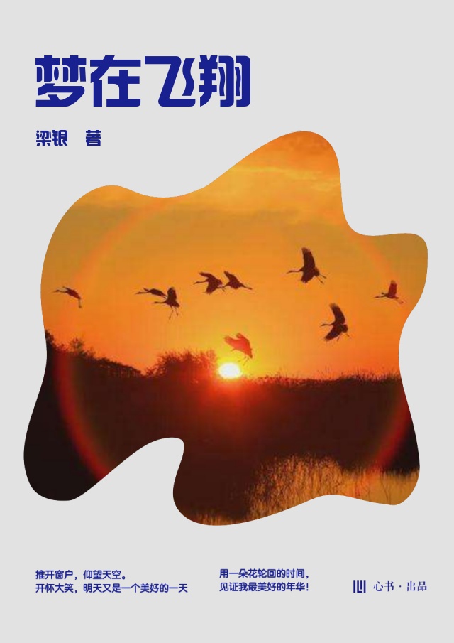 梦在飞翔